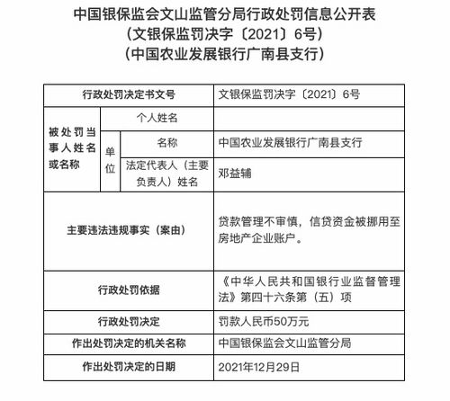 中国农业银行东阳市支行被罚万元：因项目贷款管理严重不审慎