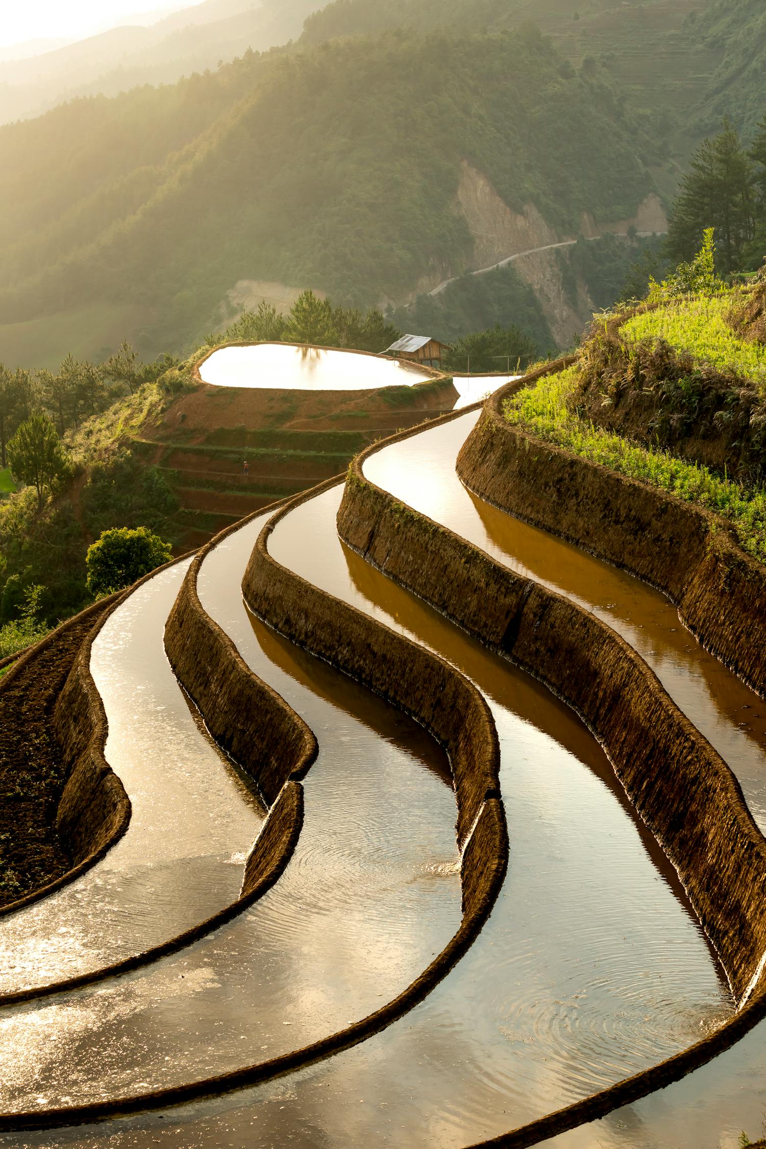 游遍山城不迷路，重庆旅游地接导游费用全揭秘！