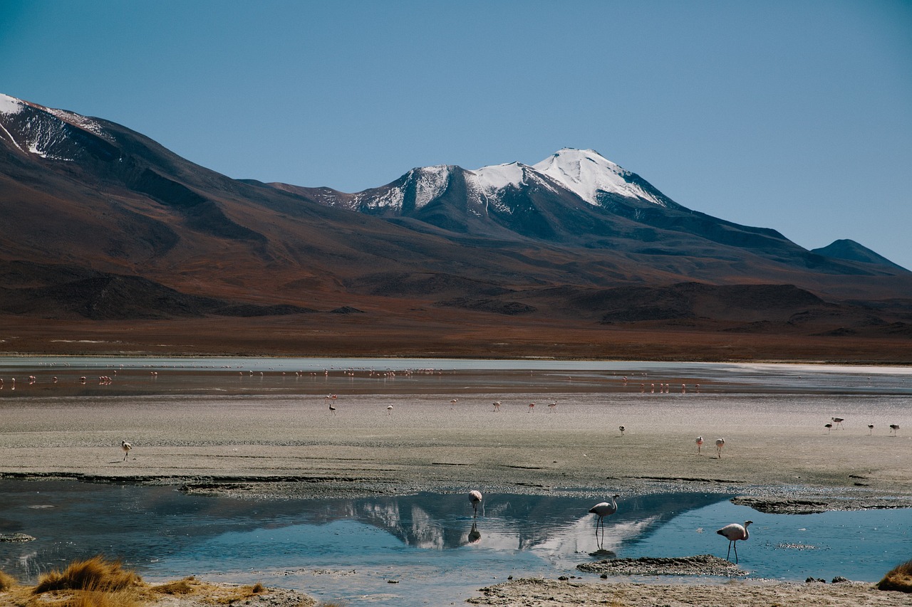 自由行旅行攻略秘籍，打造你的个性化旅程地图